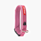 Pink dog collar with a red tag on a white background.