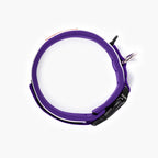 Purple dog collar with black buckle on a white background