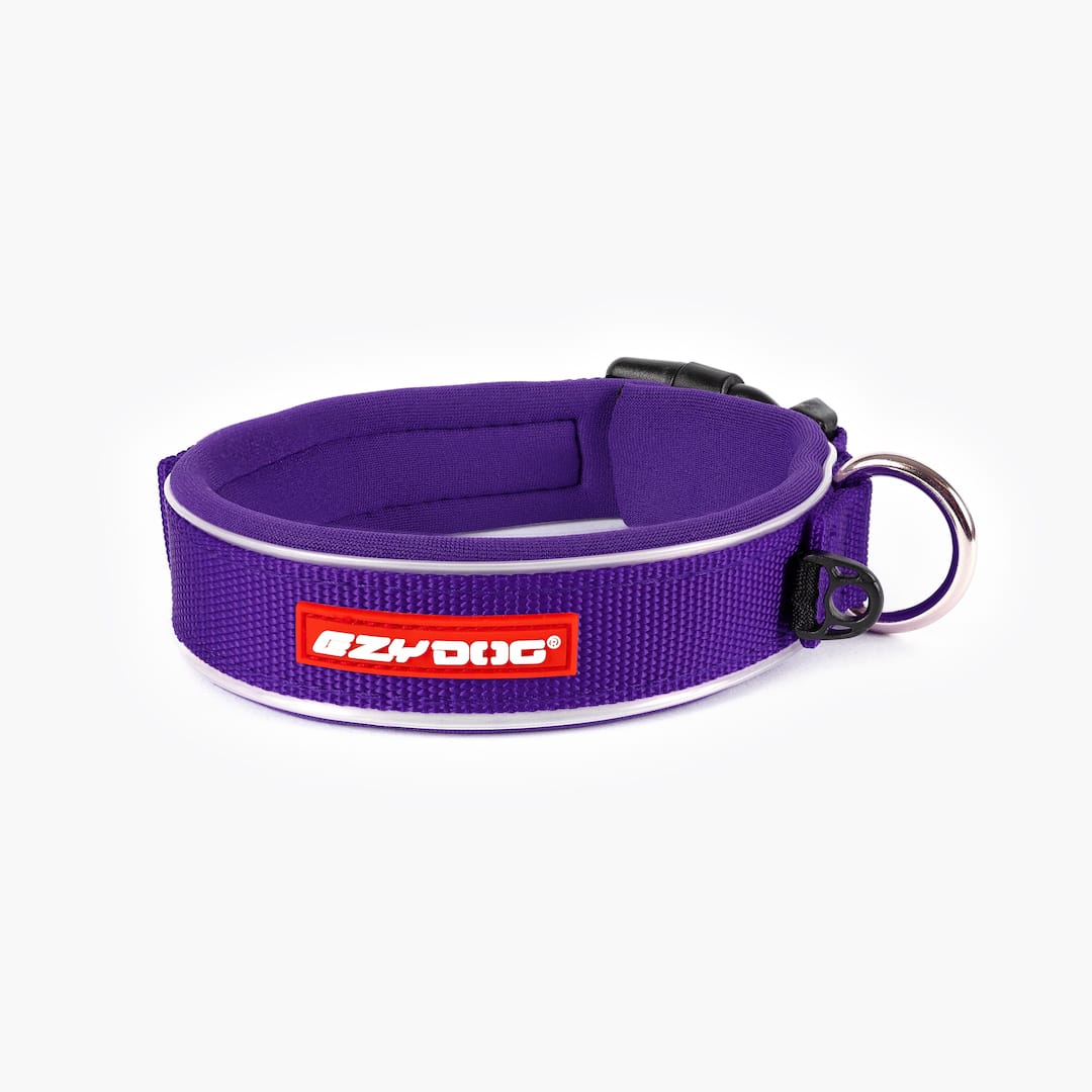 A purple neoprene and nylon dog collar with a black plastic buckle and a label that reads 'EzyDog'.