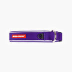 Purple dog collar with a red tag on a white background