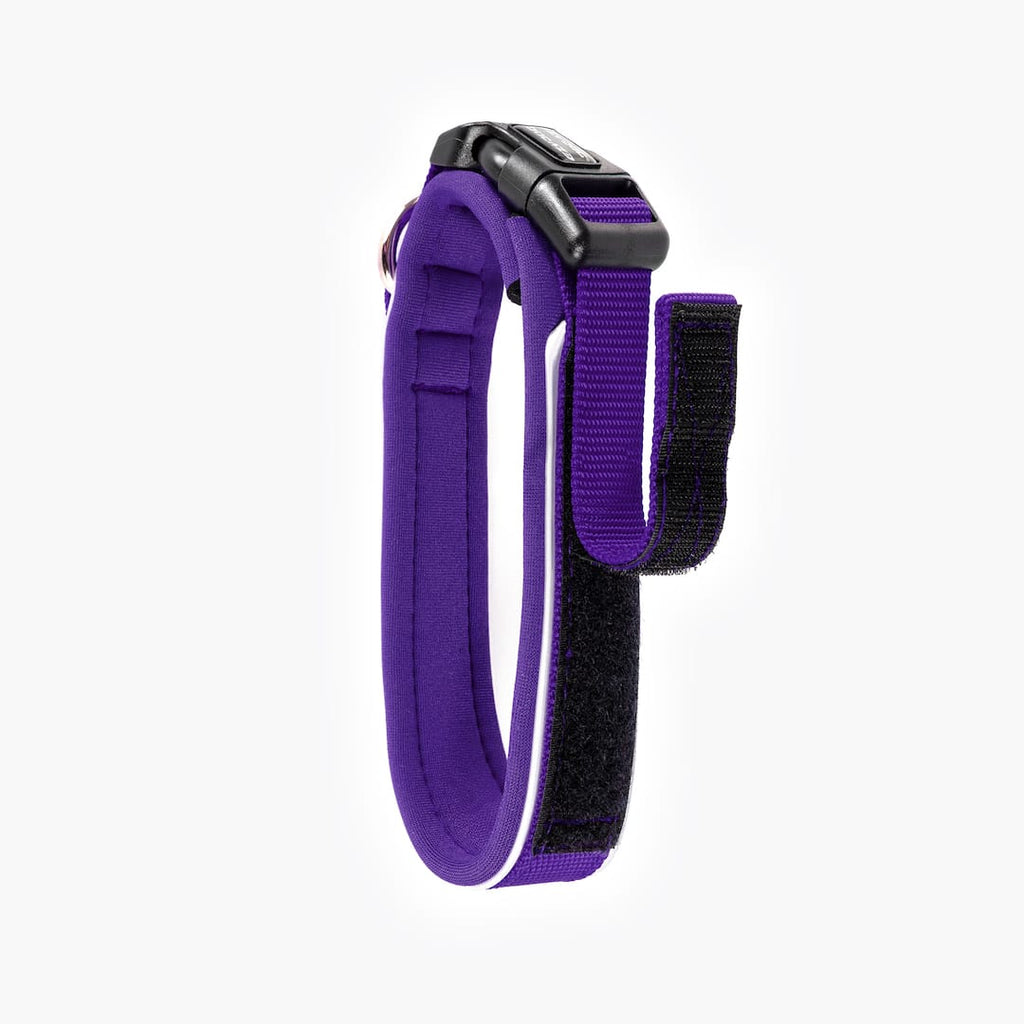 Purple and black dog collar on a white background