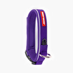 Purple dog collar with red tag on a white background