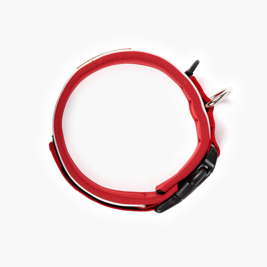 Red dog collar with black clips on a white background