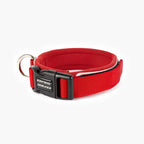 Red dog collar with black buckle on a white background