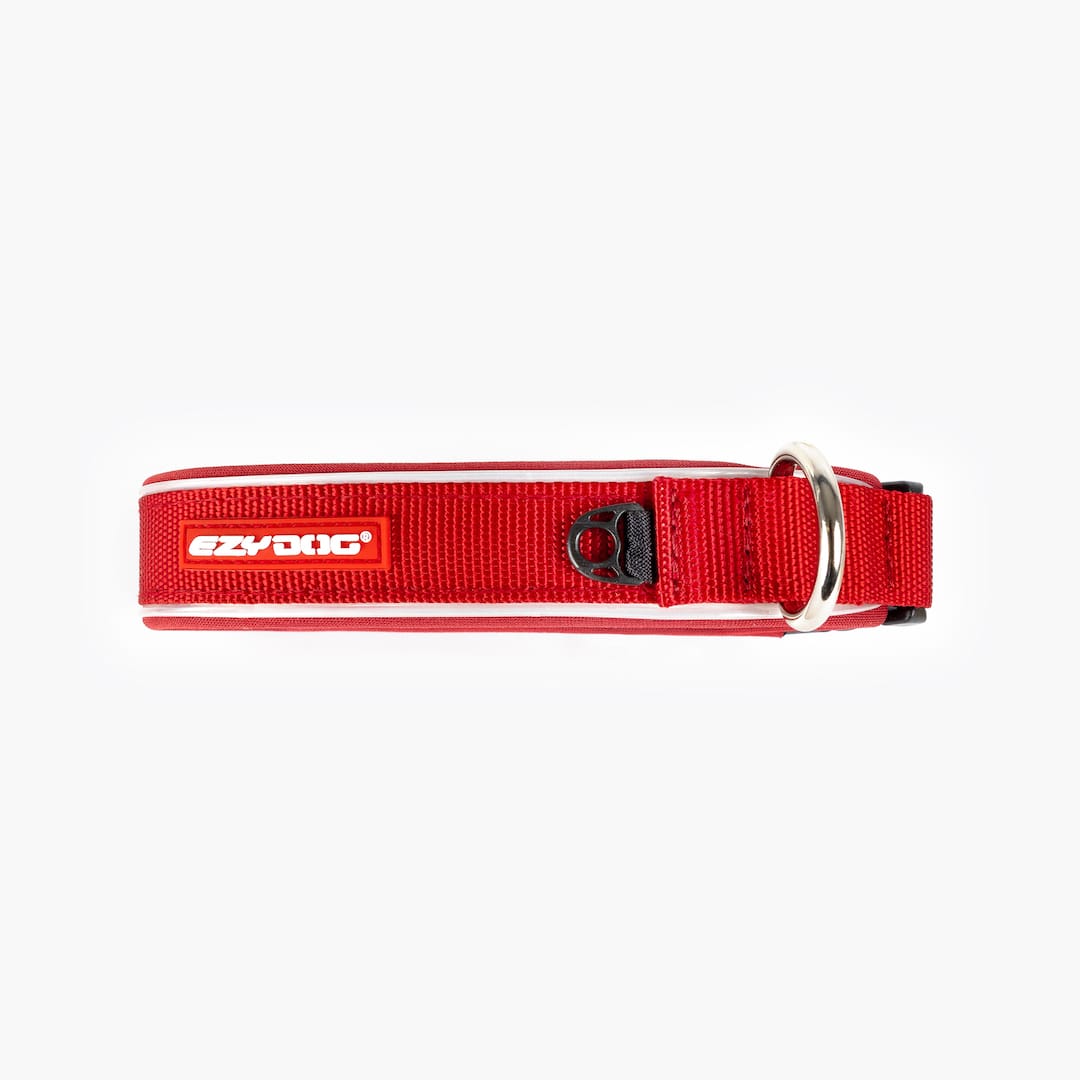 Red dog collar with metal ring on white background
