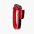 Red and black dog collar on a white background