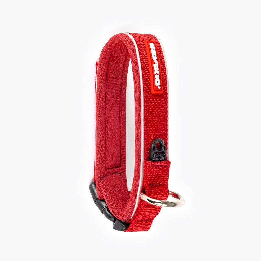 Red dog collar with white stripe on a white background