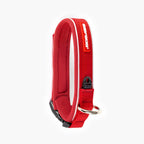 Red dog collar with white stripe on a white background