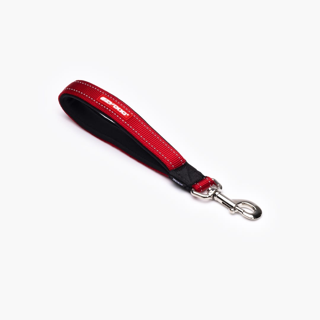 A black webbed dog leash with a red label and a metal clasp.