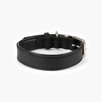 Black leather dog collar with silver buckle on a white background