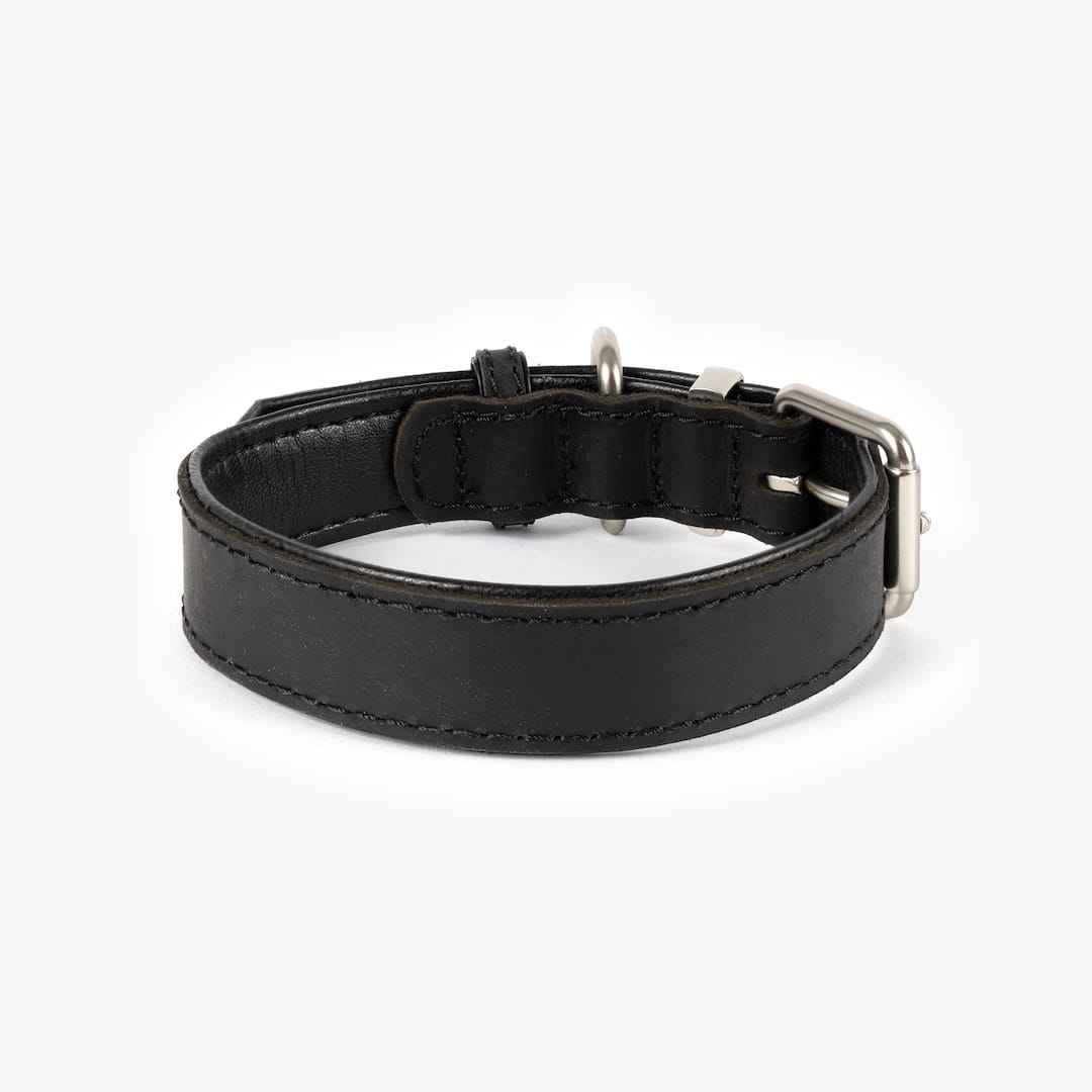 Black leather dog collar with silver buckle on a white background