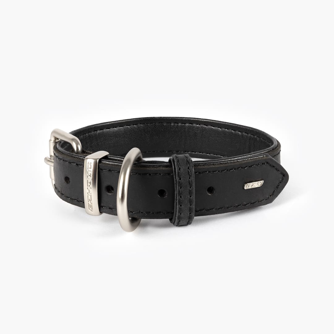 Oxford Leather - Classic Collar