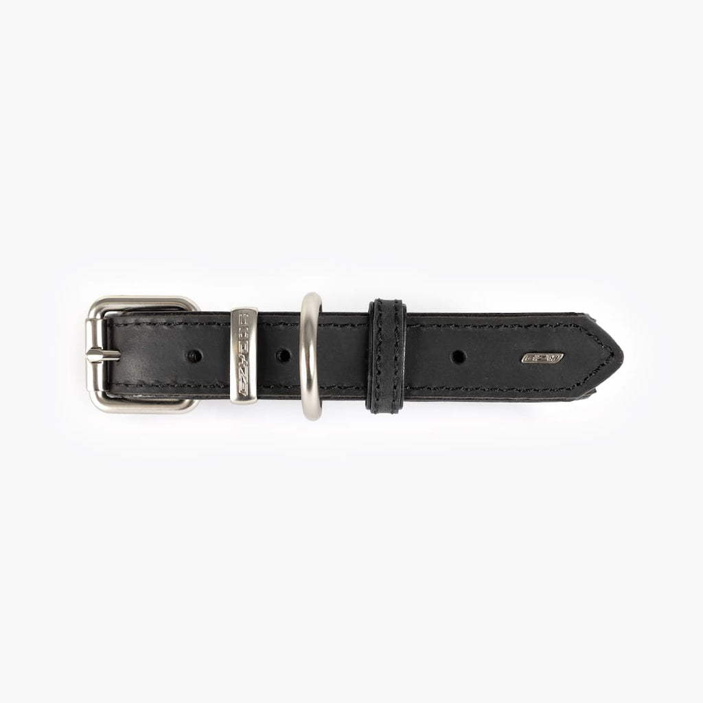 Black leather collar with silver buckle on a white background