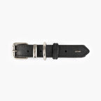 Black leather collar with silver buckle on a white background