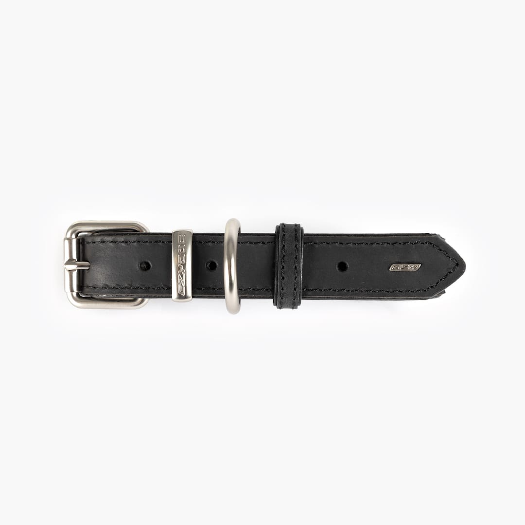 Black leather collar with silver buckle on a white background