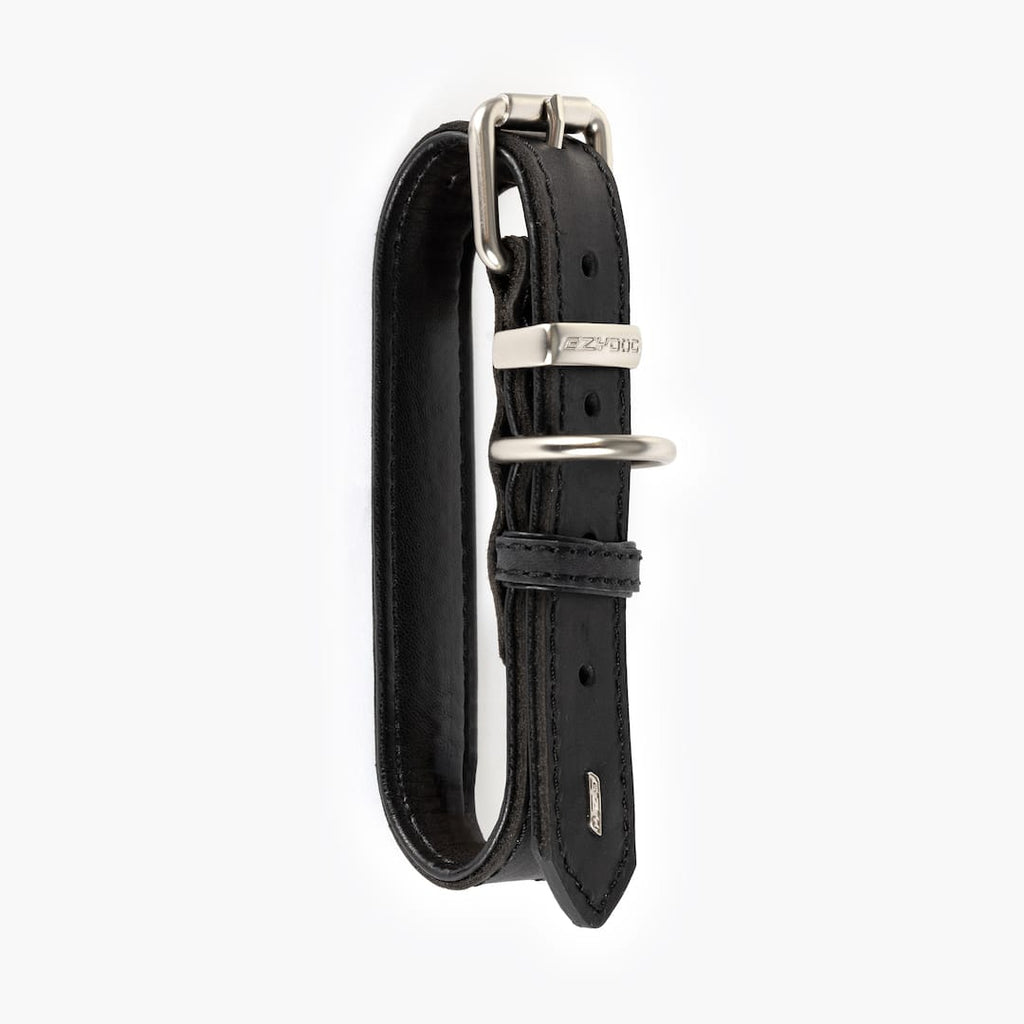 Black leather dog collar with silver hardware on a white background