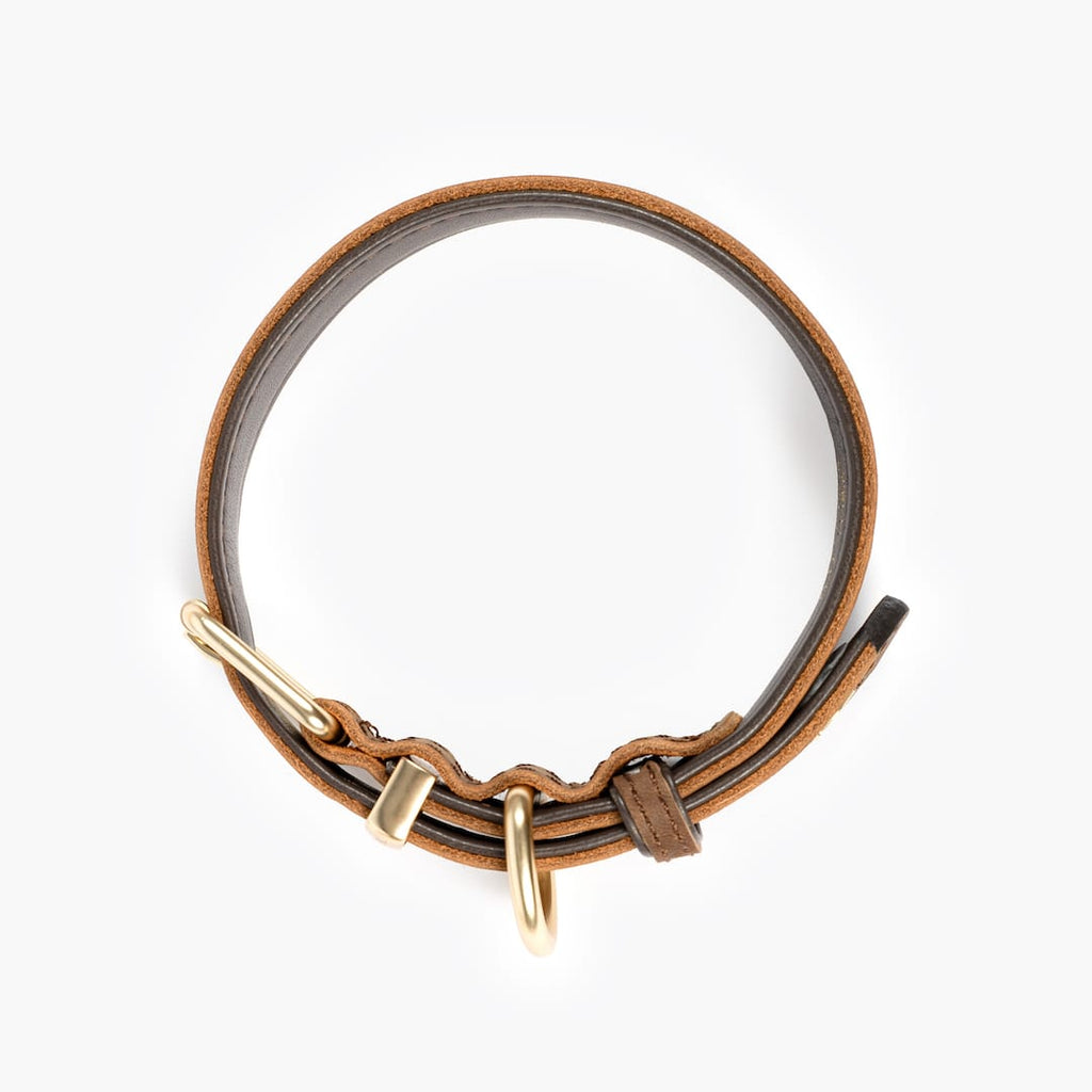 Brown leather collar with brass accents on a white background