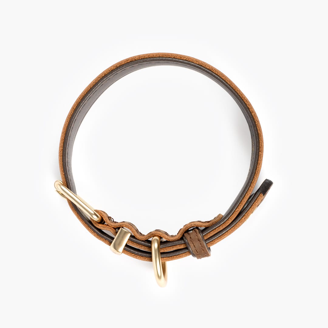 Brown leather collar with brass accents on a white background