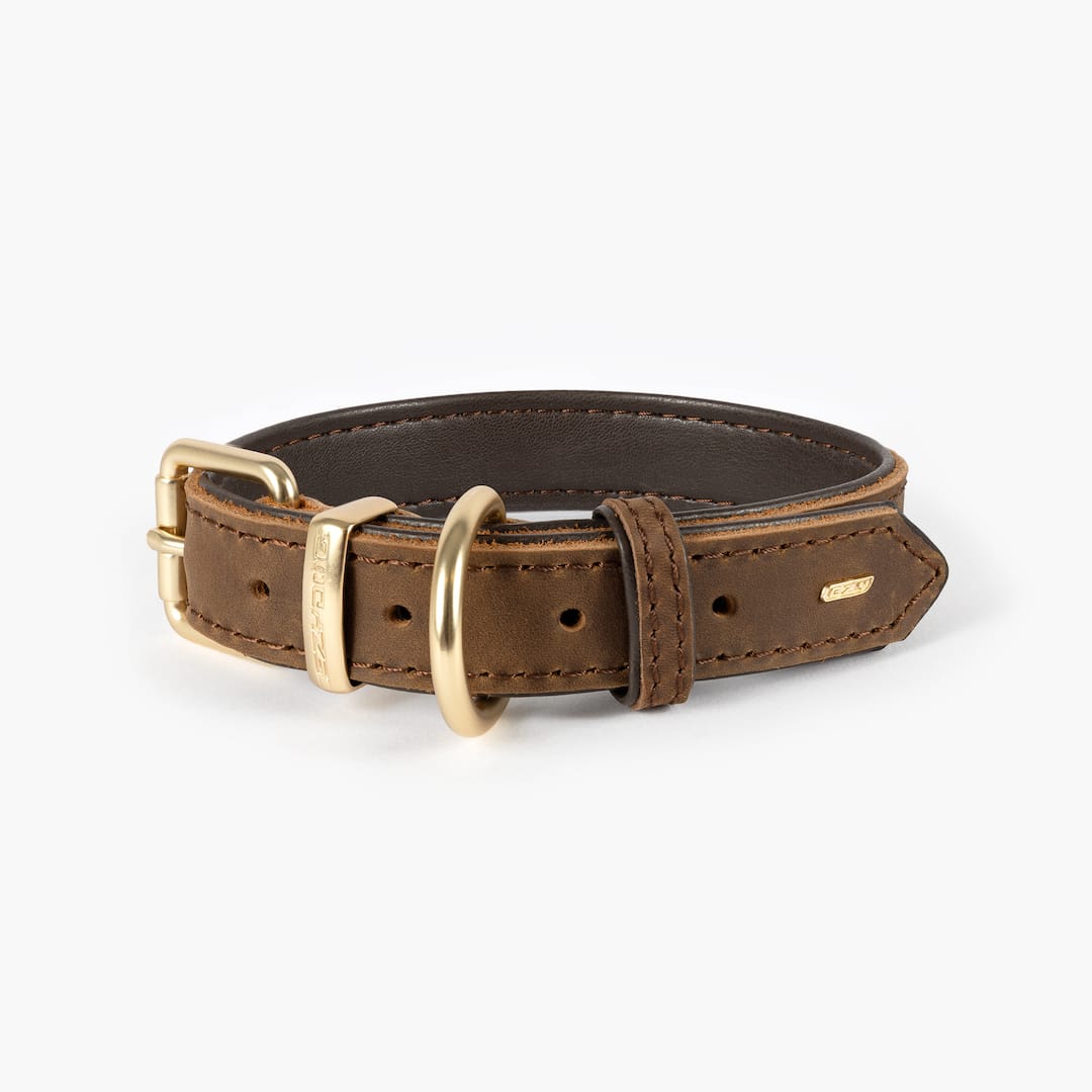A brown full grain leather dog collar with padded leather lining and brushed metal hardware, featuring a gold tongue buckle.