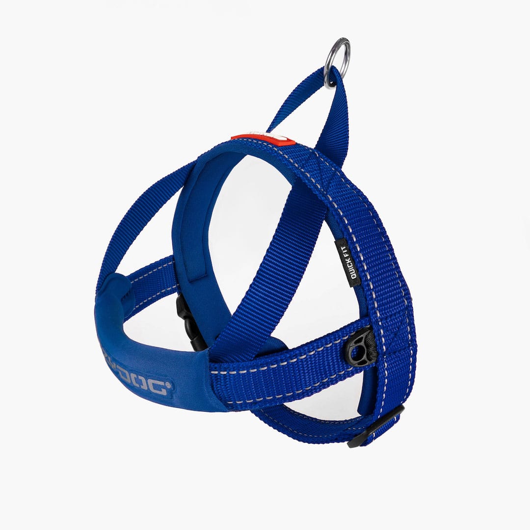 Quick Fit™ Dog Harness