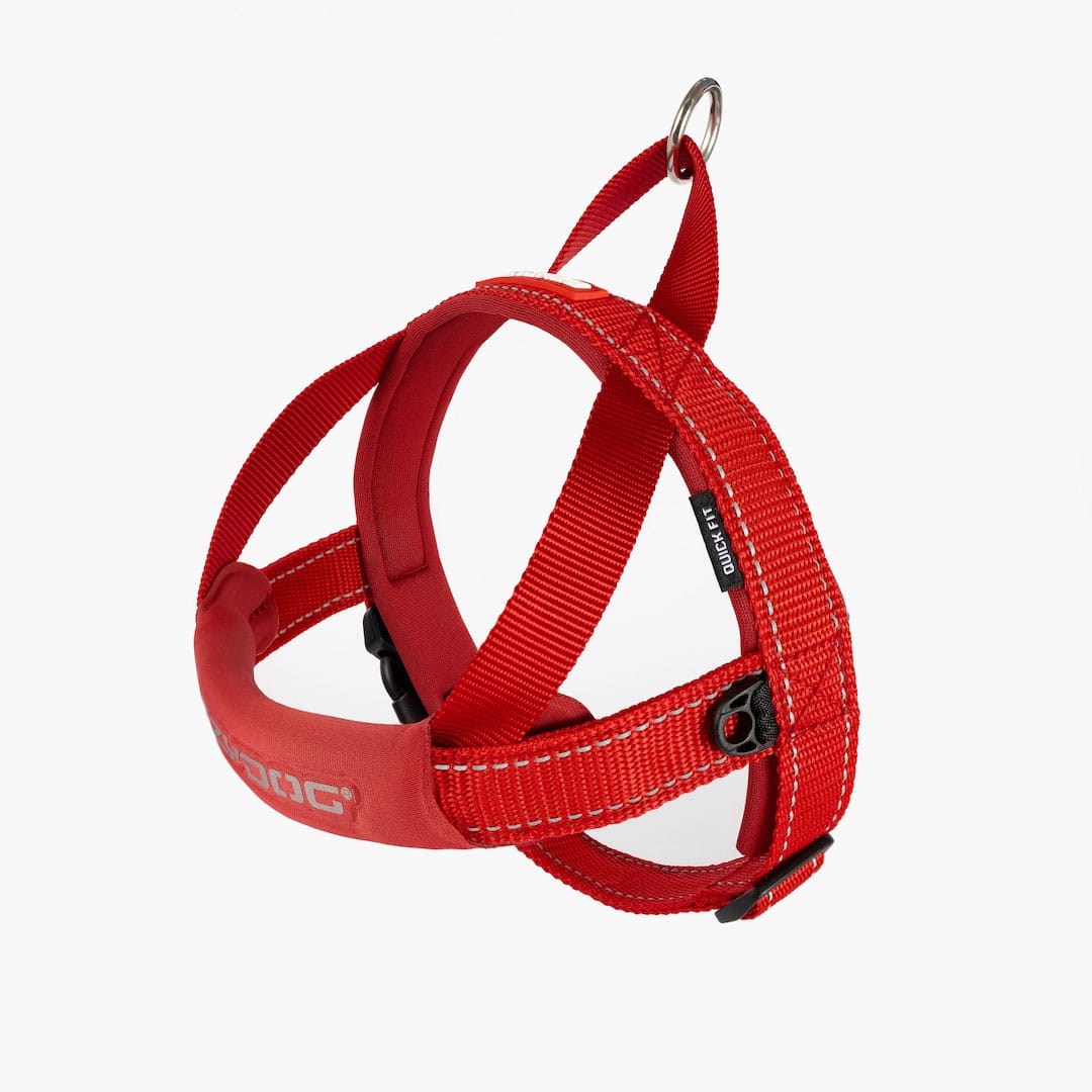 Red dog quick fit harness on a white background