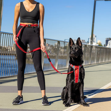 Hands Free Dog Leash for Running Road Runner Leash