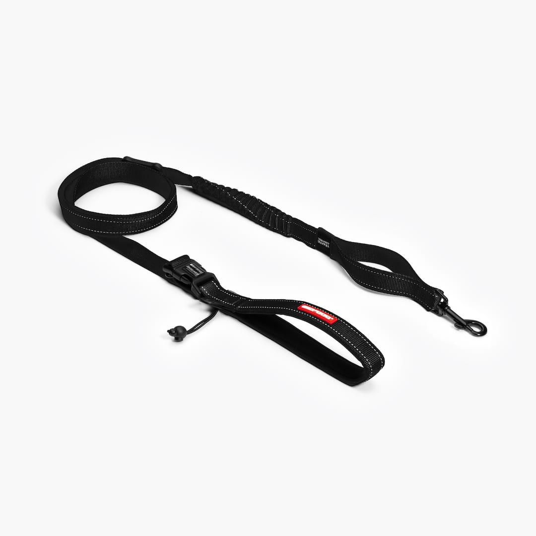 Black road runner leash on white background