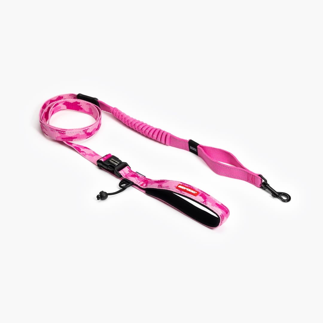 Road Runner™ Leash