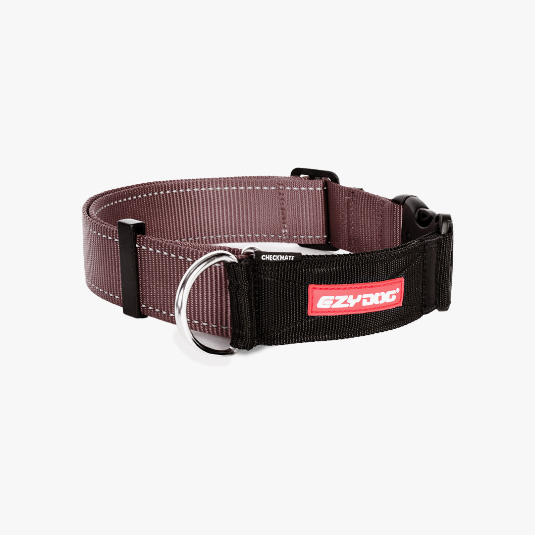 EzyDog Checkmate collar in chocolate color and size XL