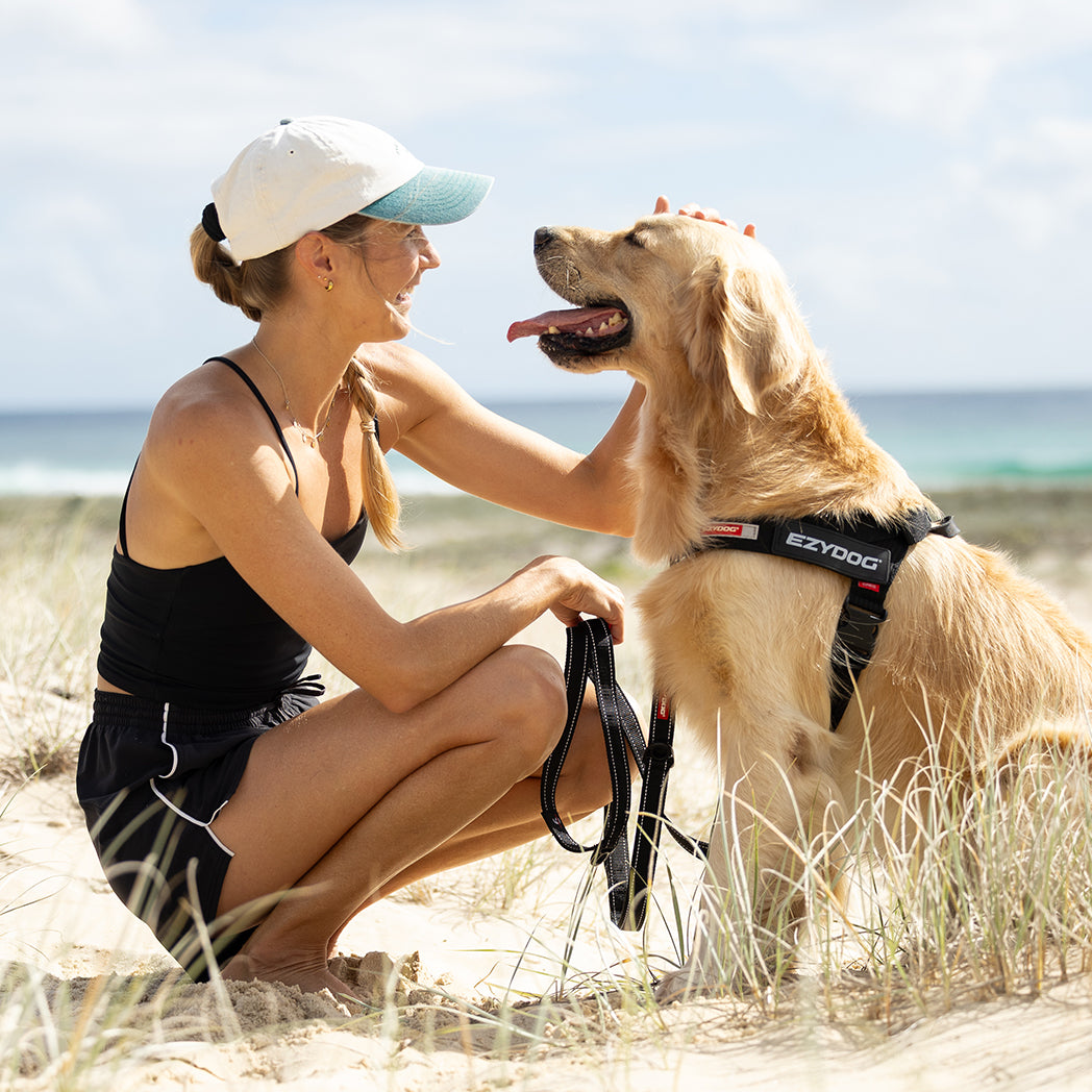 A woman crouches on a sandy beach next to a golden retriever dog wearing a black EZTOOD dog harness. The woman is wearing a white cap with a blue brim, a black tank top, and black shorts, with the ocean and sky in the background.