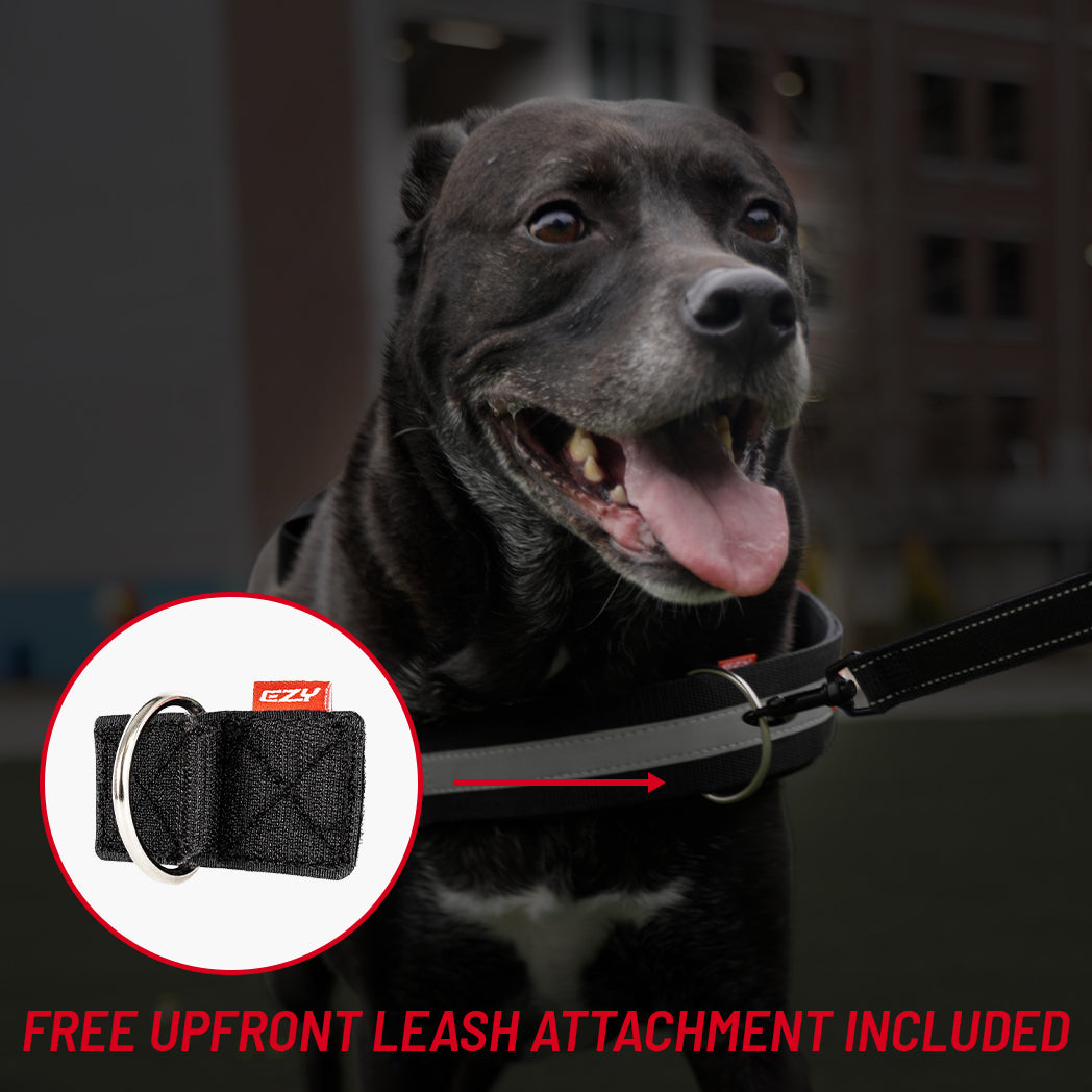 A black dog wearing a black leash with a metal ring, shown outdoors with a circular inset highlighting the leash attachment detail. Red text at the bottom reads 'FREE UPFRONT LEASH ATTACHMENT INCLUDED'.
