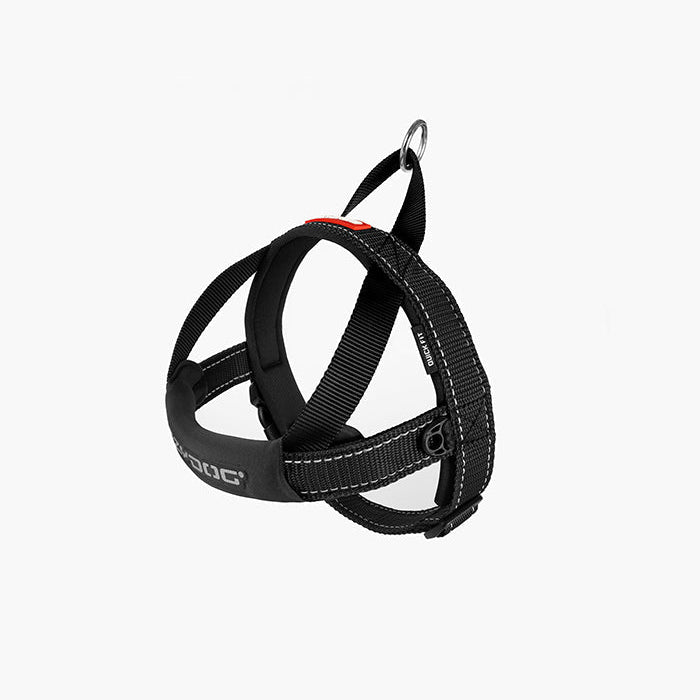 Black dog harness on a white background