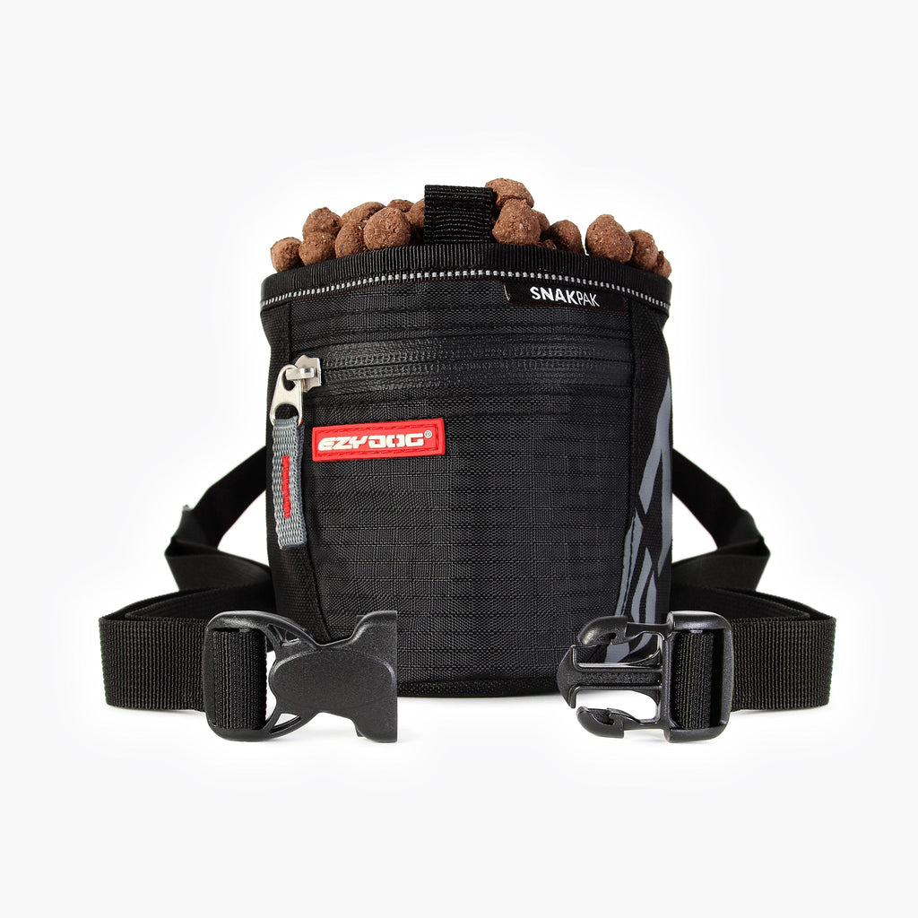 Come Sit Stay Training Kit