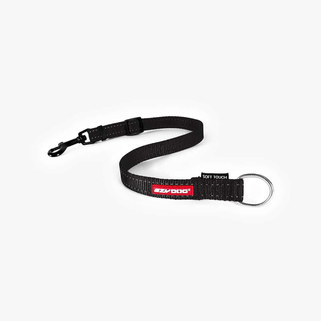 Dog walking with Soft Touch™ Extension, black leash, outdoor setting