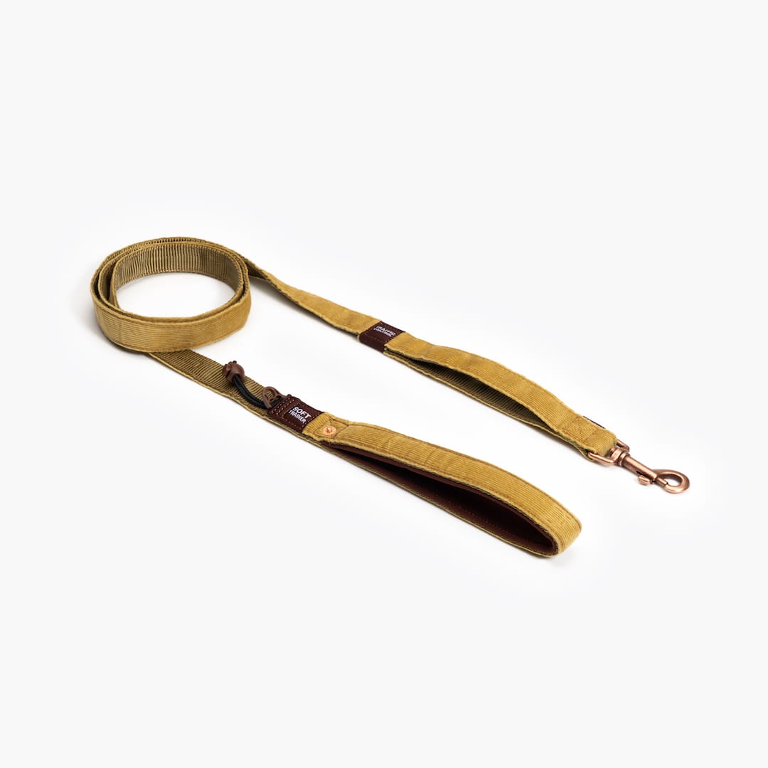 A gold-colored corduroy dog leash with leather patches on a white background.