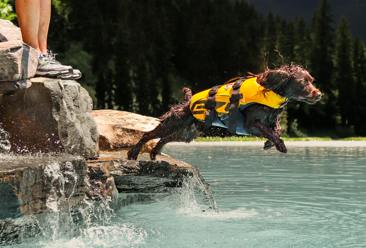 A dog is jumping into the river wearing a yellow life jacket.