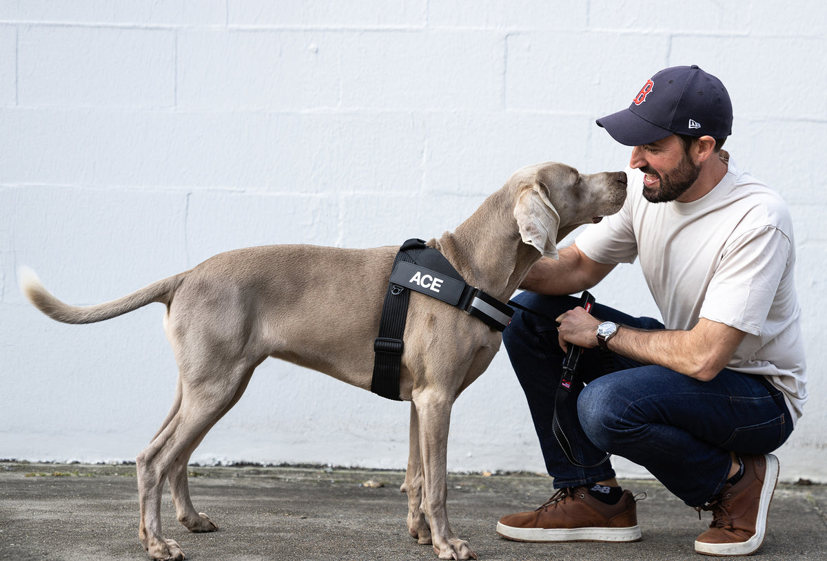 A man and his dog look at each other with endearing excitement