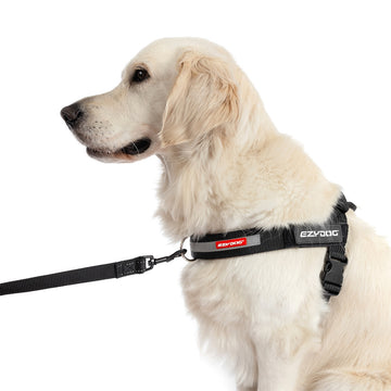 Front Leash Attachment Dog Training Leash