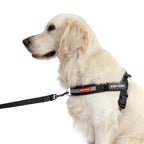 UpFront™ Leash Attachment