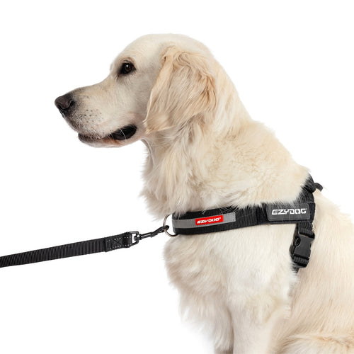 UpFront™ Leash Attachment
