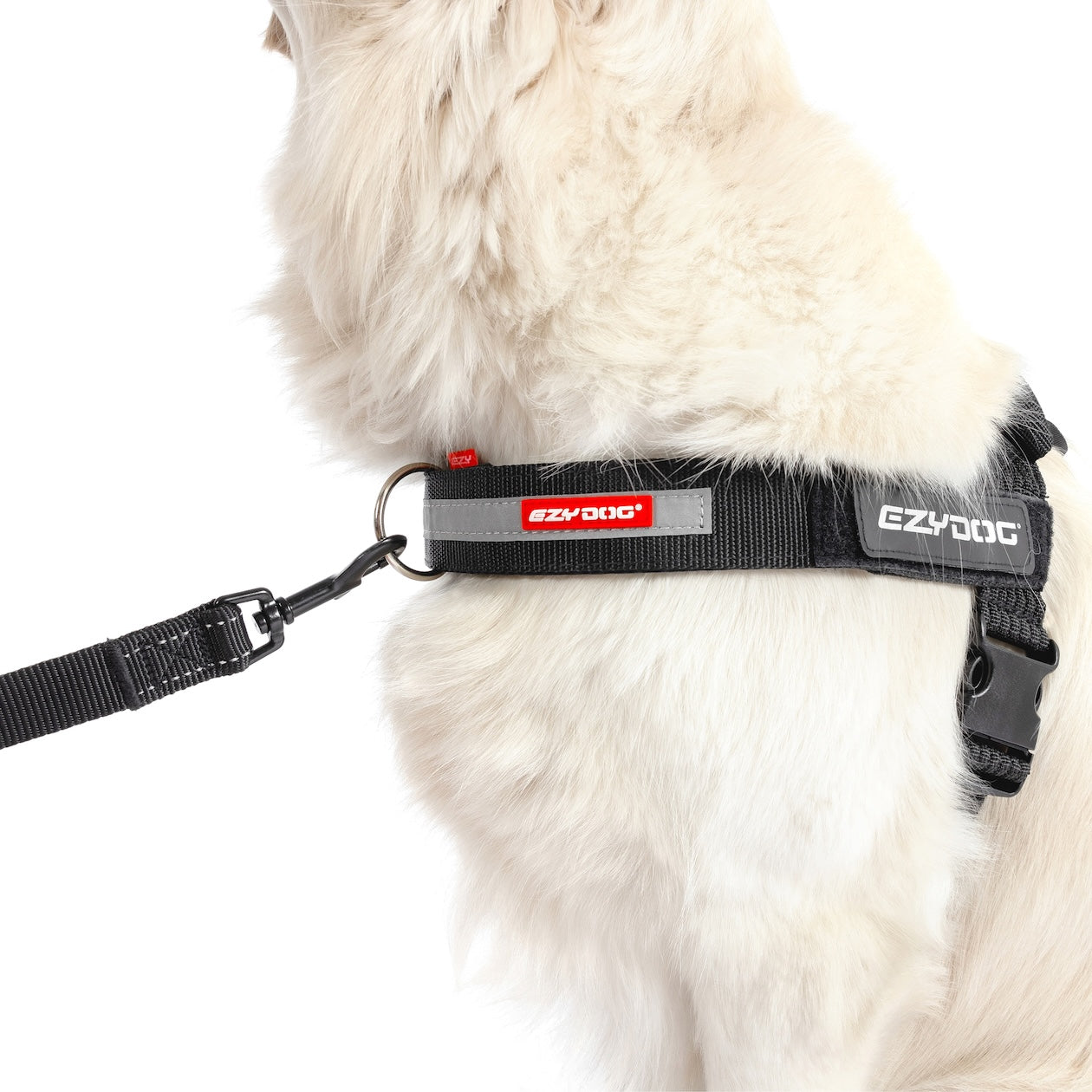 UpFront™ Leash Attachment