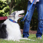 Vario 4™ Multi-Function Leash