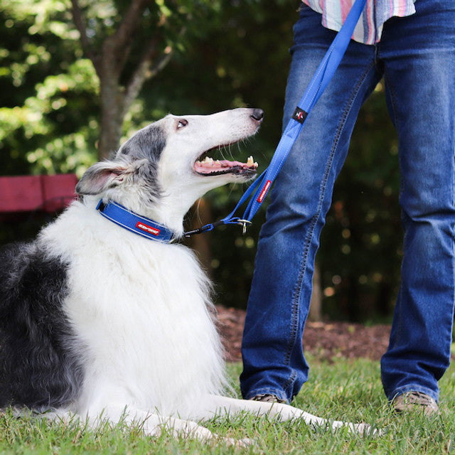 Vario 4™ Multi-Function Leash