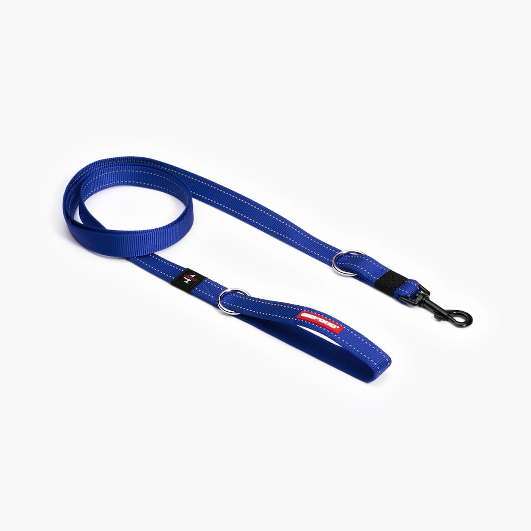 A blue nylon dog leash with a red logo and metal clasp.