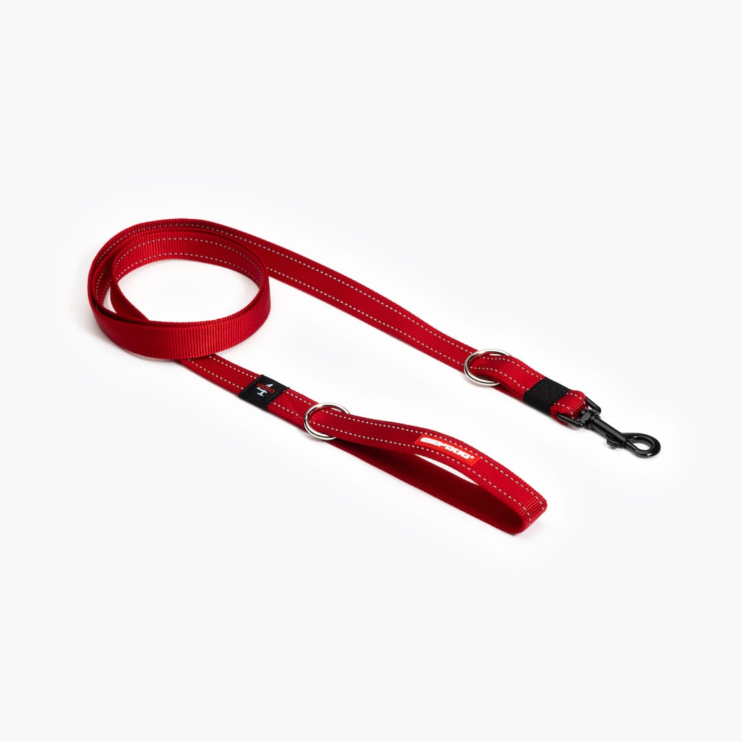 A red nylon dog leash with a red logo and metal clasp.