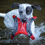 Dogstar™ Flying Disc