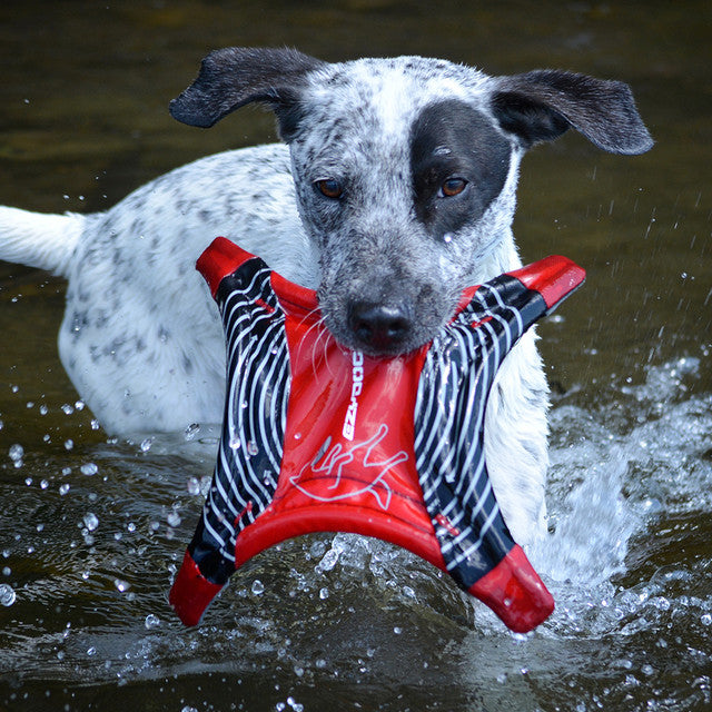 Dogstar™ Flying Disc