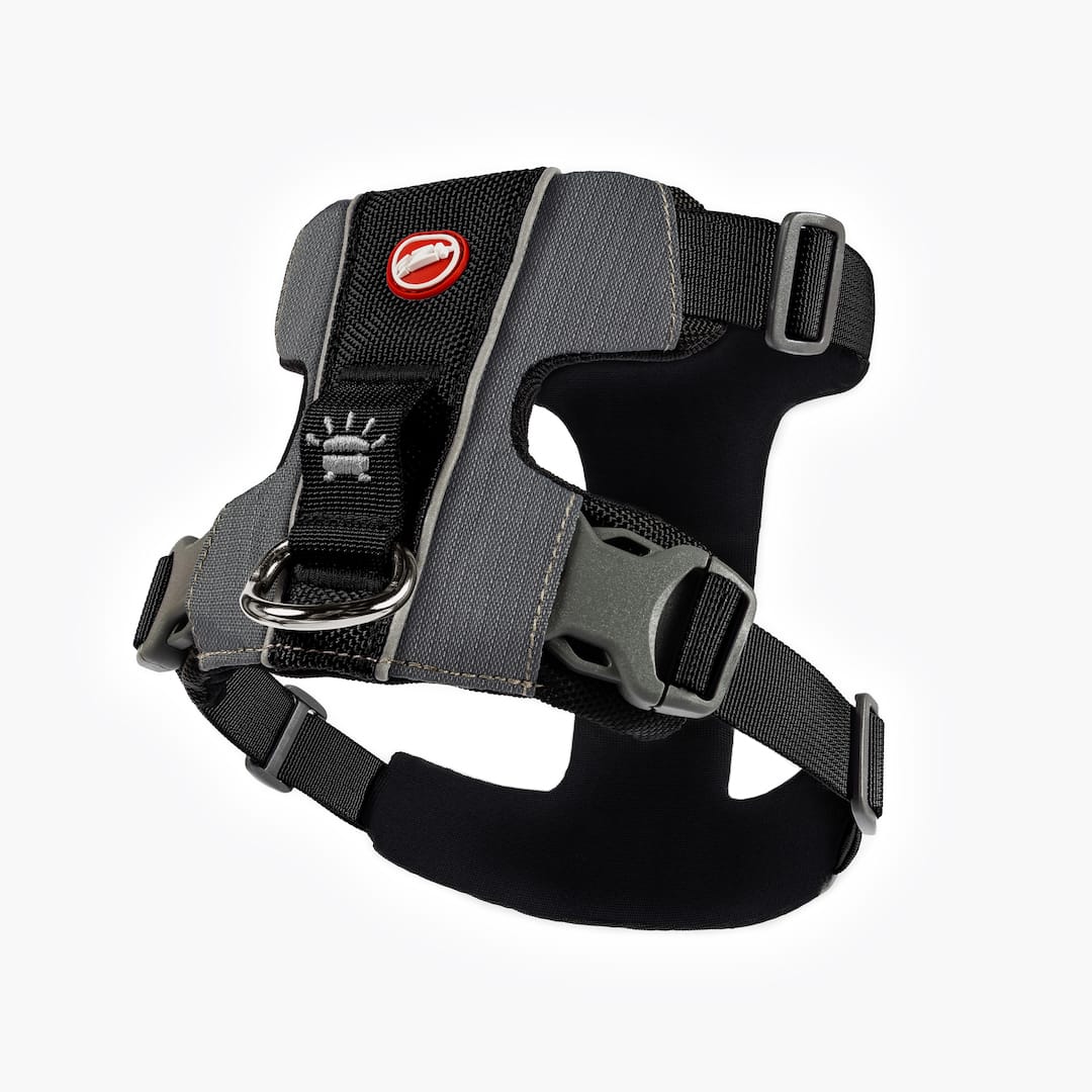 X-Link™ Dog Harness
