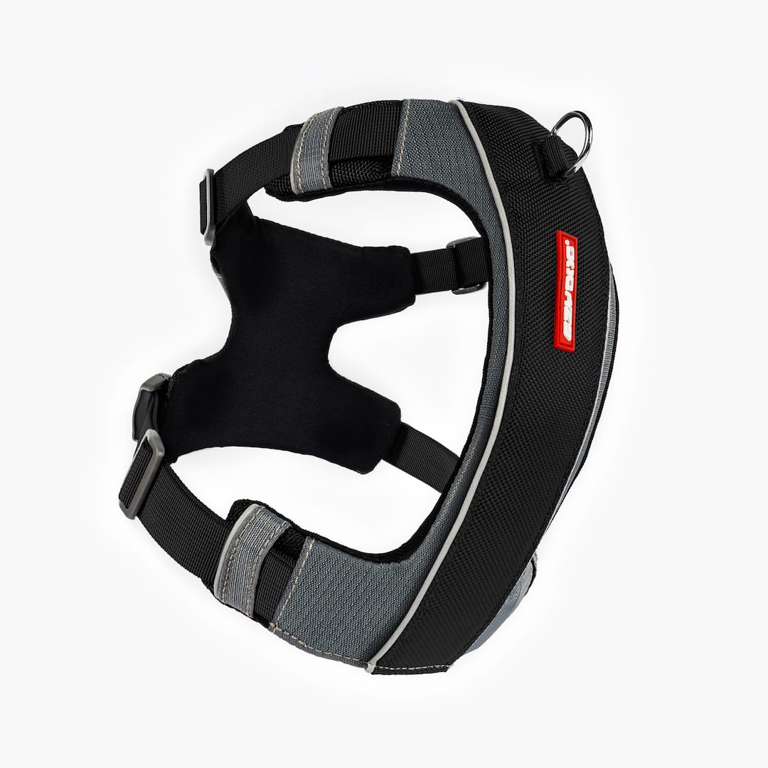X-Link™ Dog Harness
