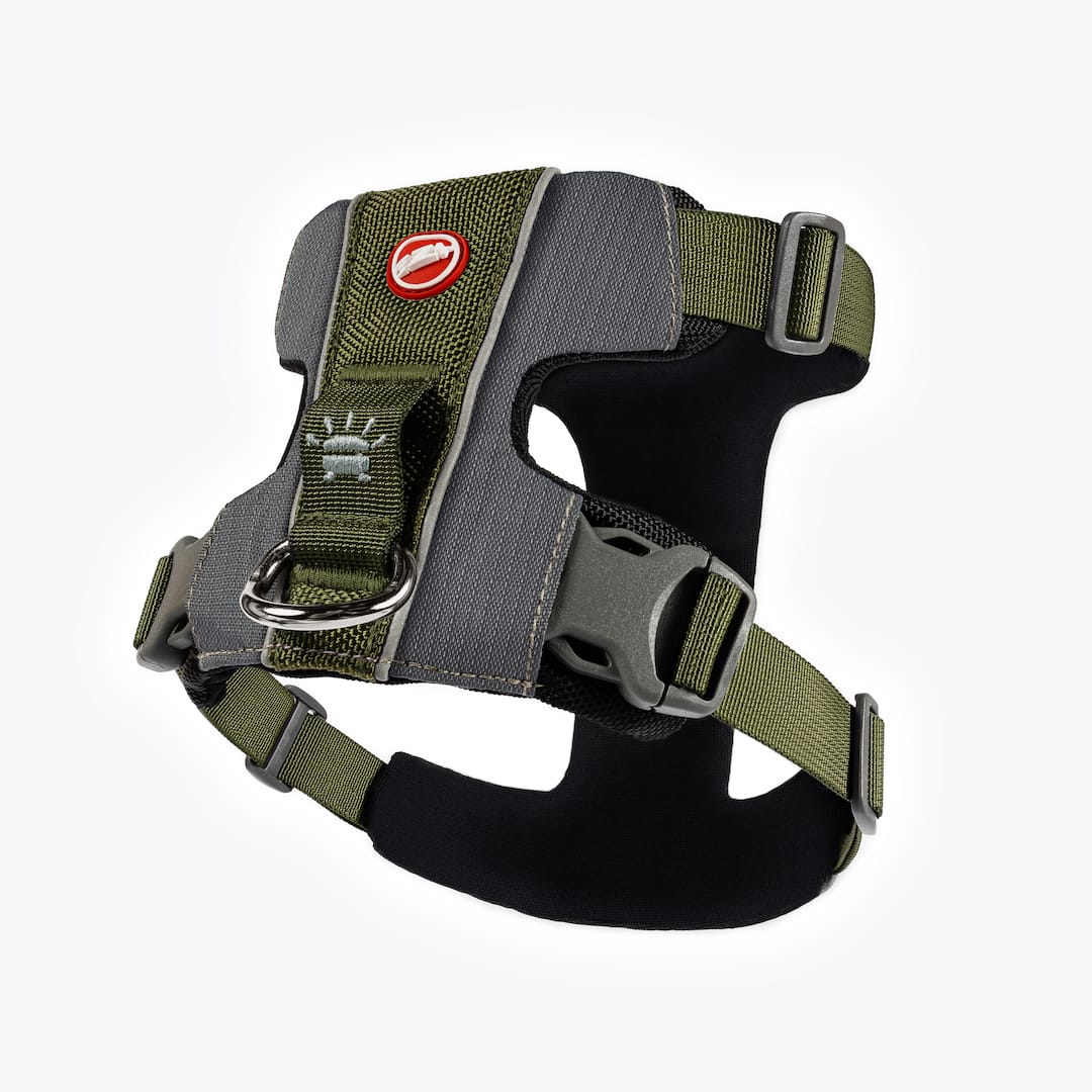 X-Link™ Dog Harness
